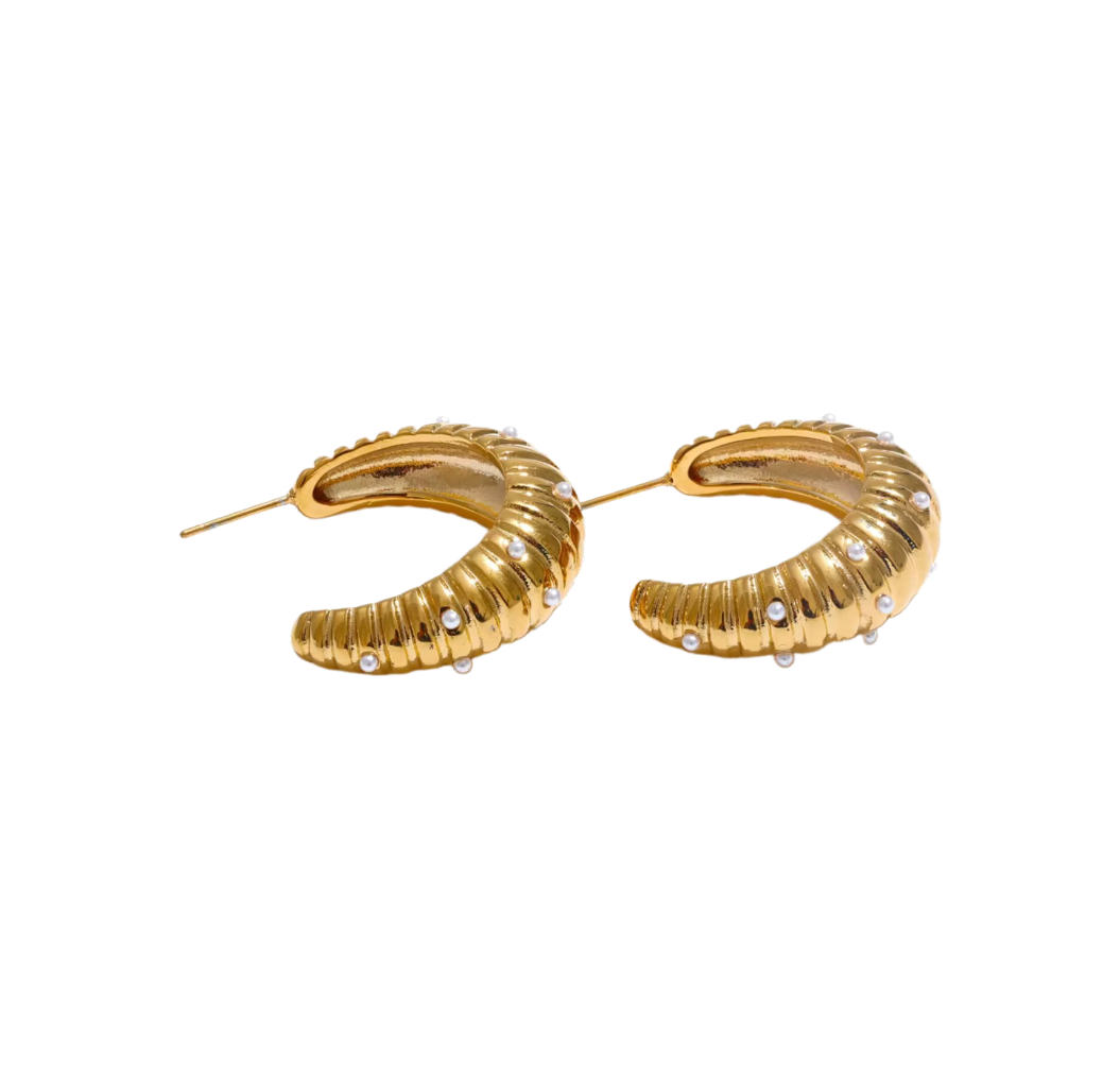 Bianca earrings