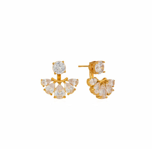 Coral earrings