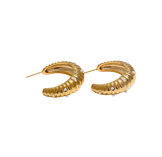 Bianca earrings