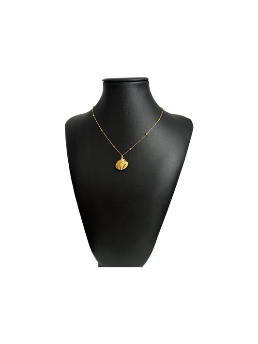 Shell necklace